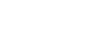 Mr Beast Store